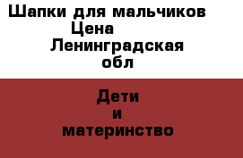 Шапки для мальчиков  › Цена ­ 500 - Ленинградская обл. Дети и материнство » Детская одежда и обувь   . Ленинградская обл.